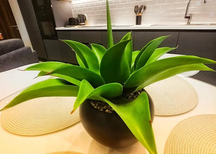 Country View Retreat *